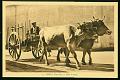 Cartes postales anciennes 12887